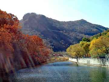 澳门期期准免费精准，自动注油器